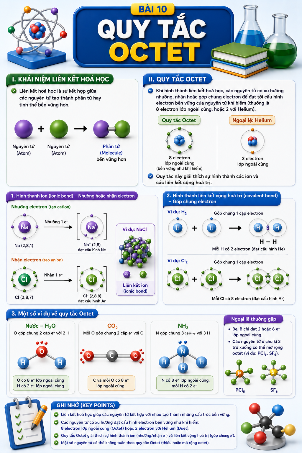 Infographic Quy tắc Octet