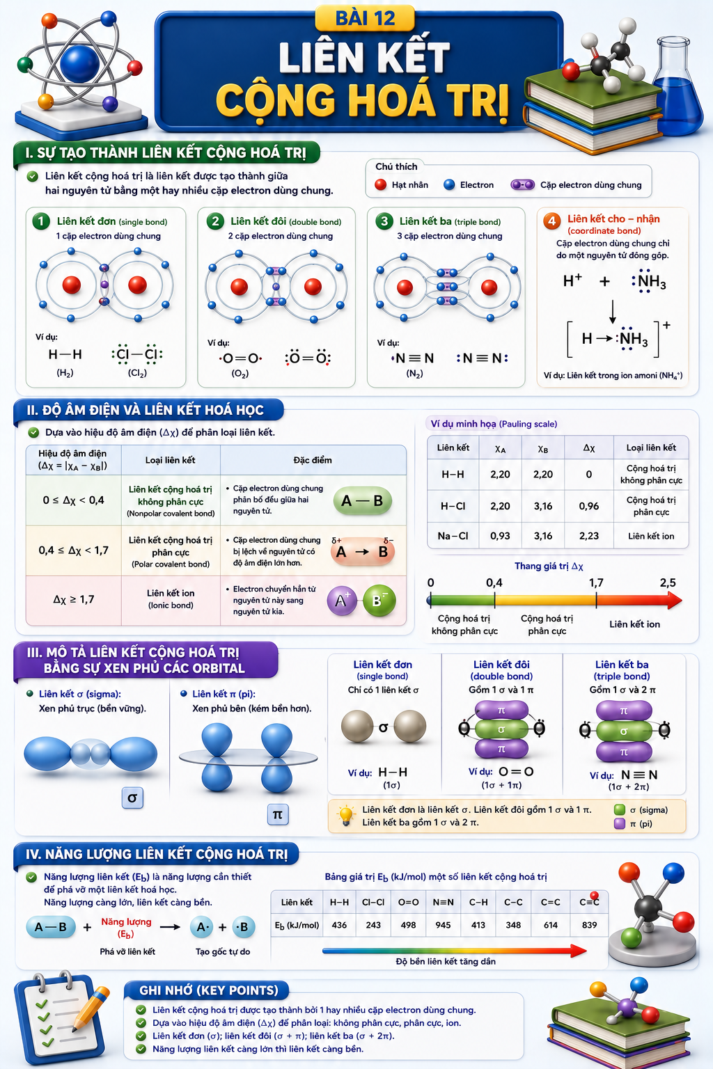 Infographic Liên kết cộng hoá trị